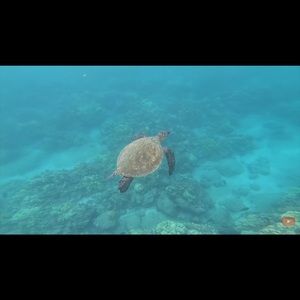 Meet your Posher, Ashlyn